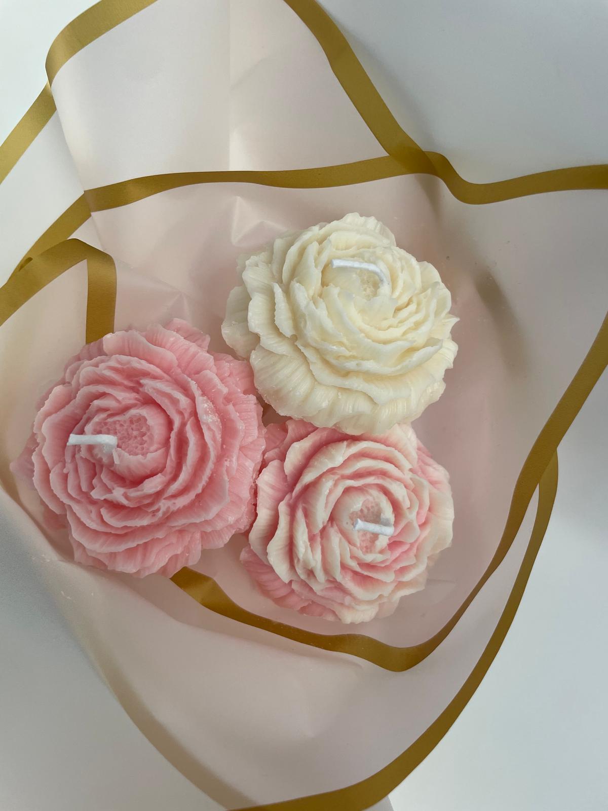 Pivoine Précieuse - Rosewood